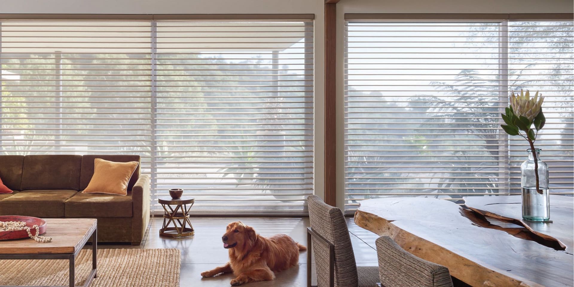 Large Window Treatments & Blinds