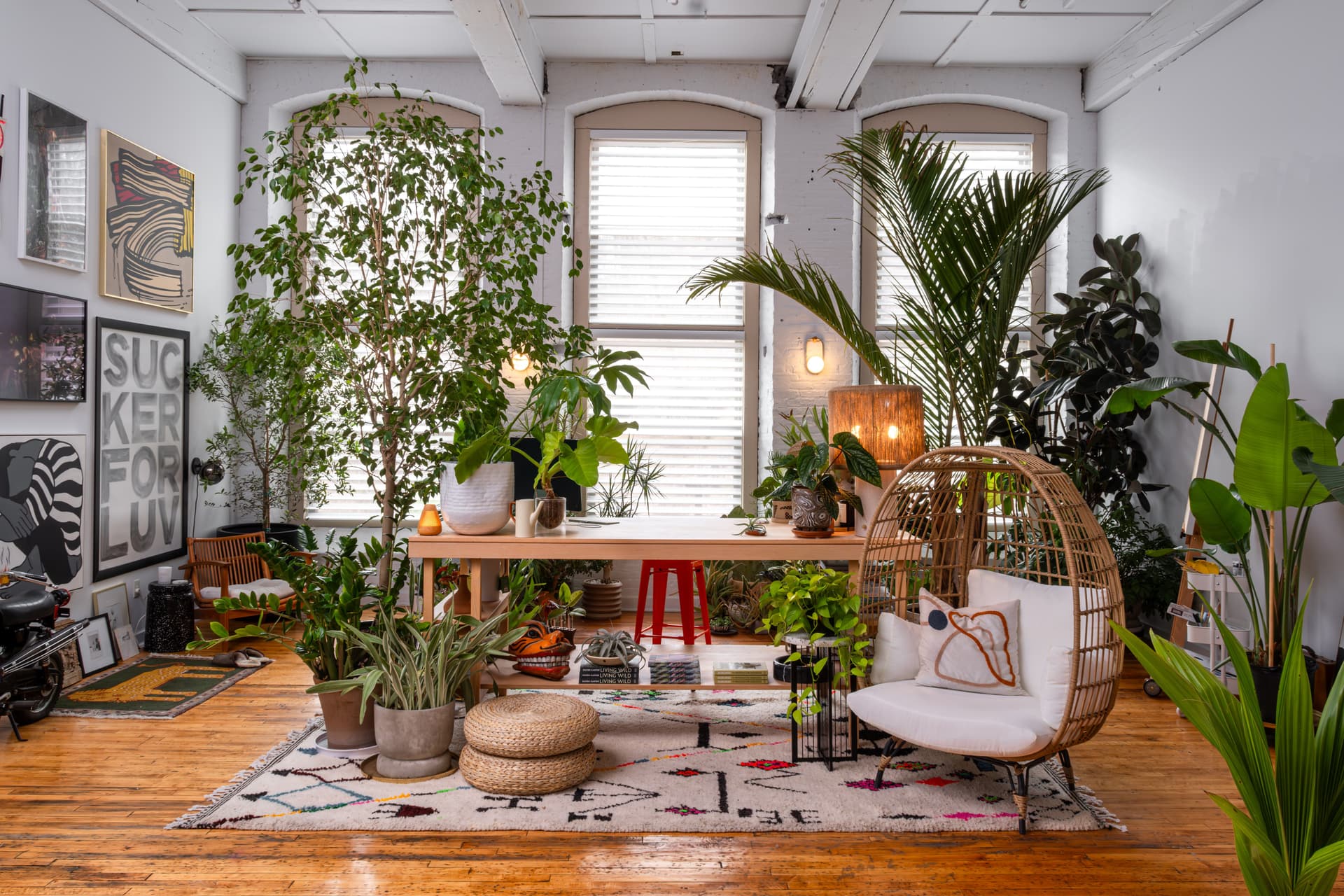 Perfectionner La Lumière Dans Un Bureau Rempli De Plantes : Le Styliste Hilton Carter Nous Donne Ses Astuces